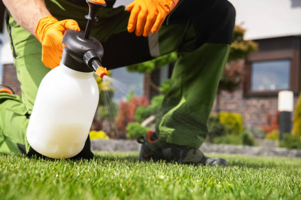 Best Best Pest Control Companies  in Hannahs Mill, GA