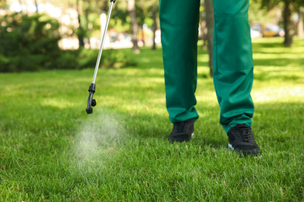 Best Flea Control Services  in Hannahs Mill, GA