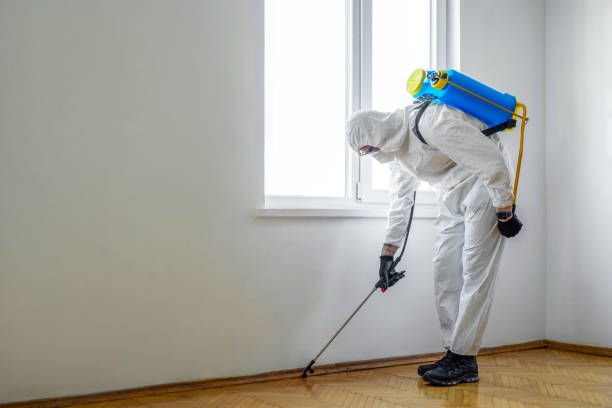 Best Pest Prevention Services  in Hannahs Mill, GA