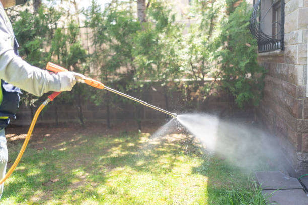 Flea Control Services in Hannahs Mill, GA