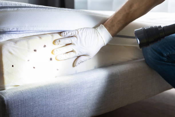 Best Residential Pest Control  in Hannahs Mill, GA
